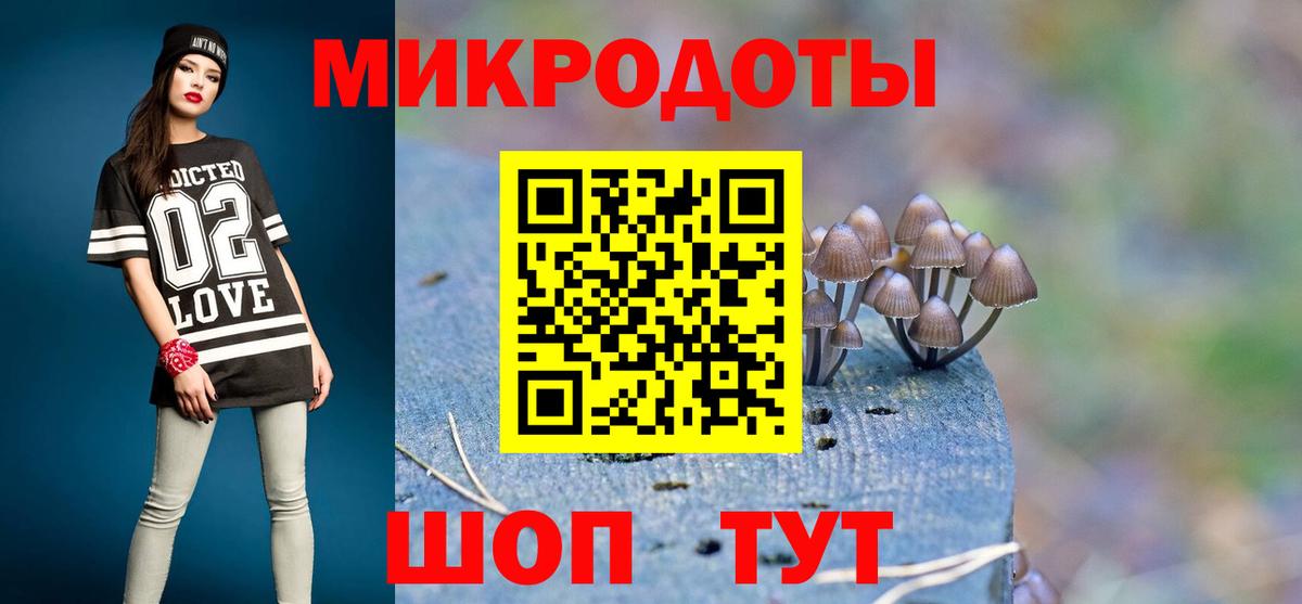 Галлюциногенные грибы Psilocybine cubensis Шали